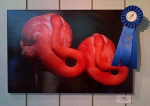 Artist Lorenzo Cassina Is The Winner Of The Wildlife Contest By Flamingo Gardens In Florida